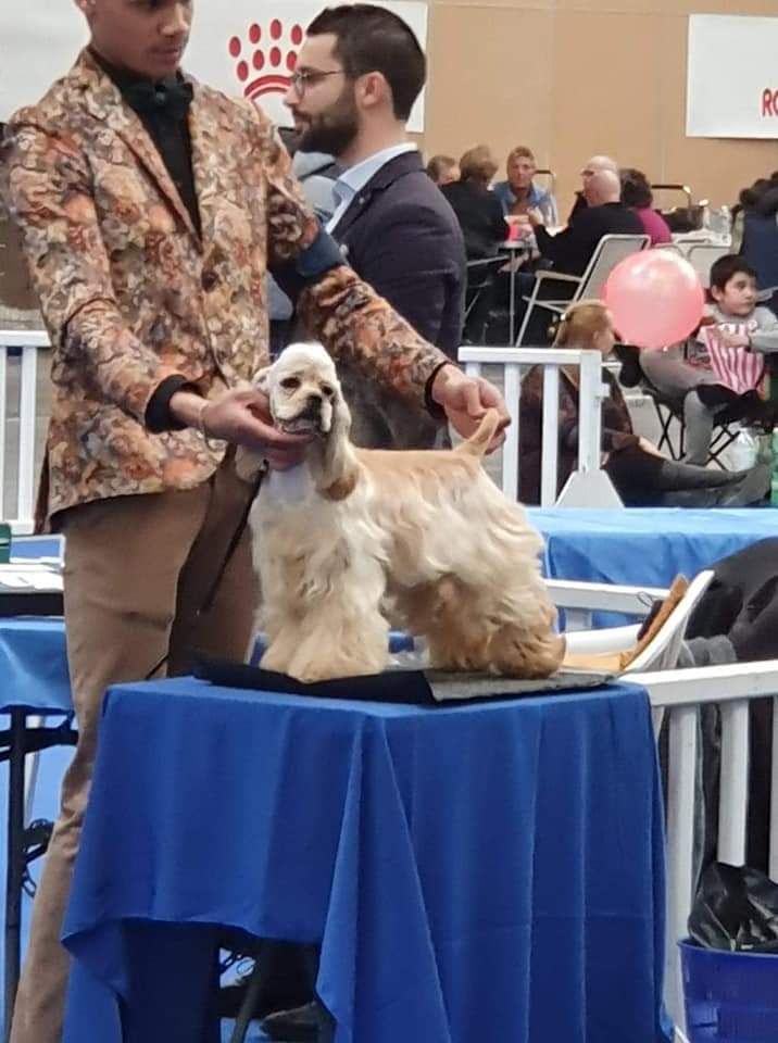 CH. Parce qu'elle est De L'écrin Des Précieuses